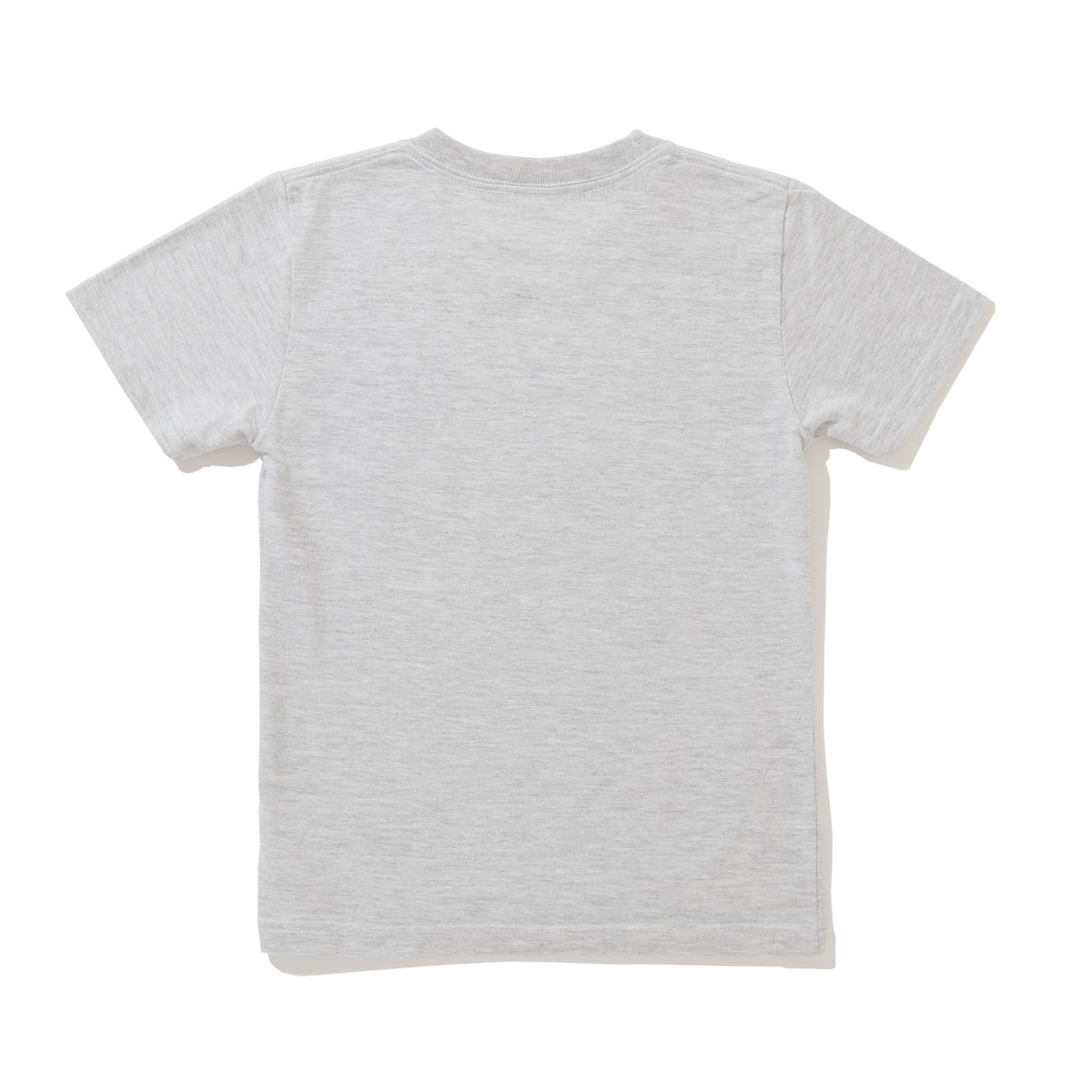 ADACY KIDS SKATE TEE / ASH